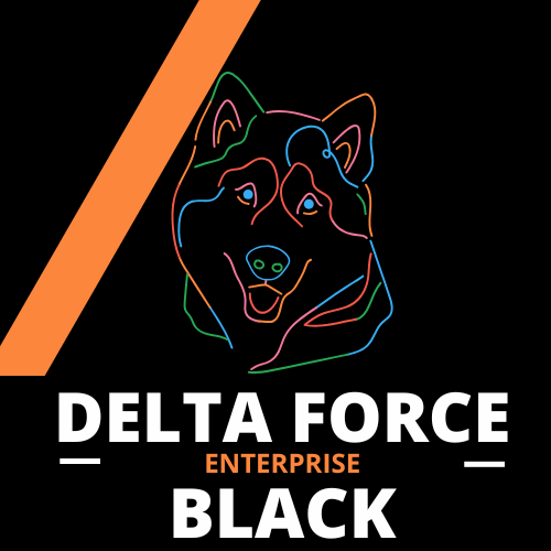 Delta Force Black Enterprise